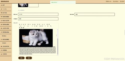 基于Node.js与Vue的宠物网站系统设计与实现